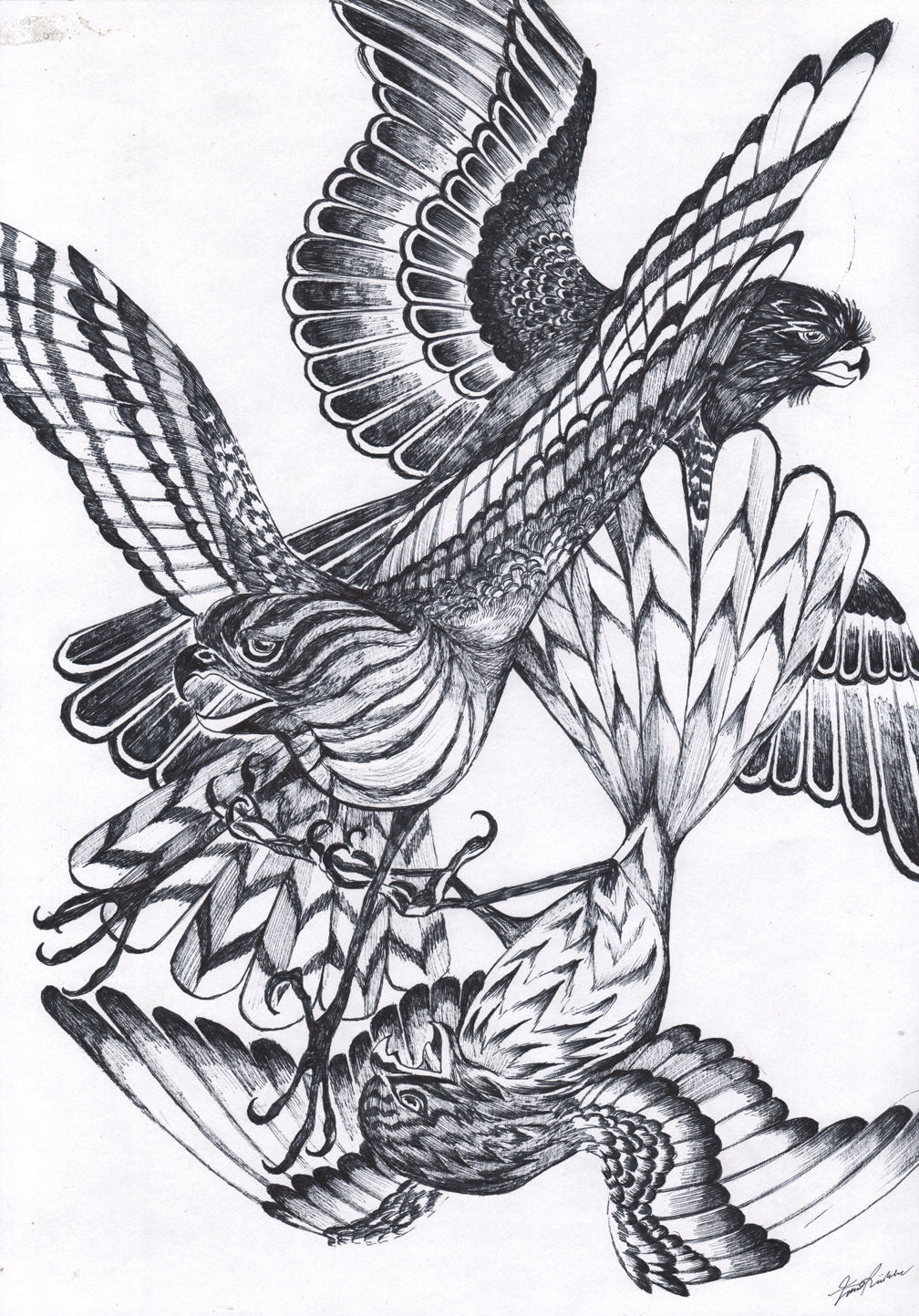 "Haukat", A3 Original Ink Drawing