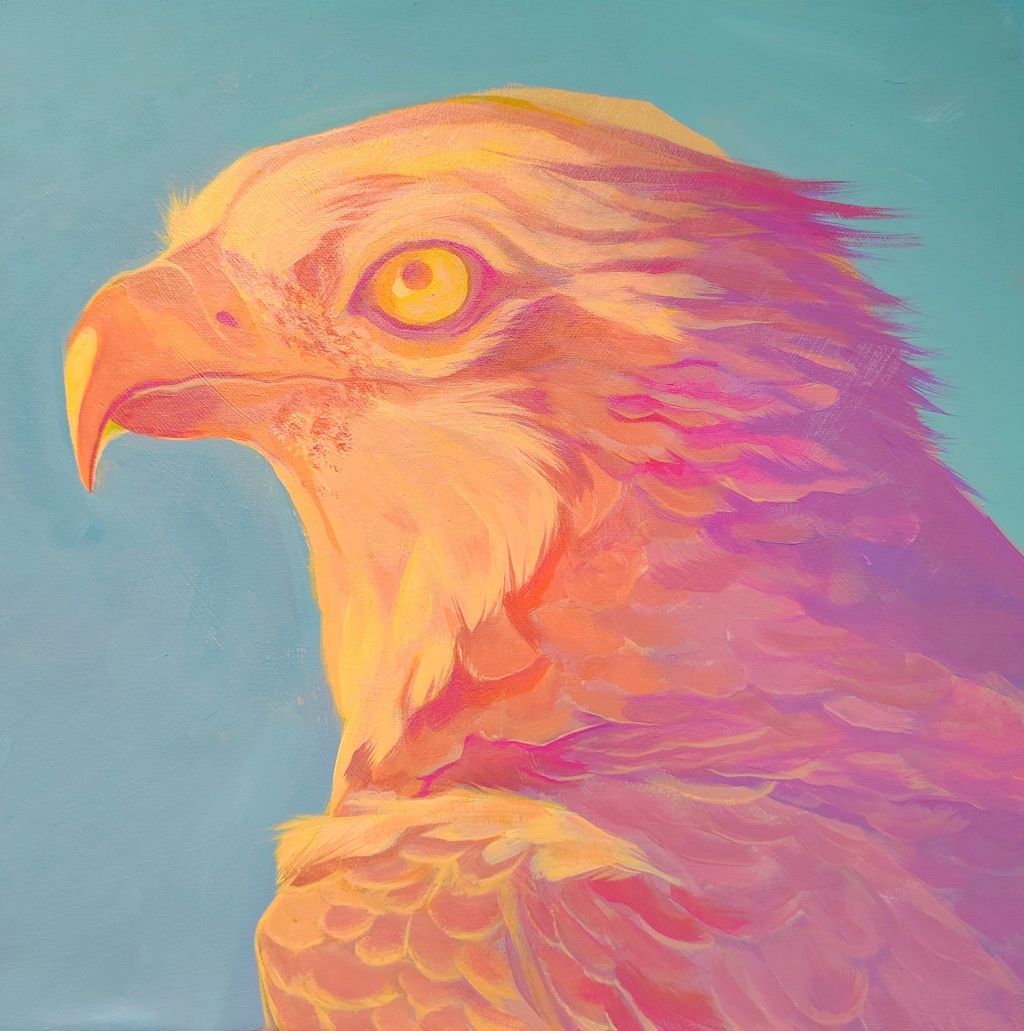 "Osprey" 40x40cm Original Acrylic Painting